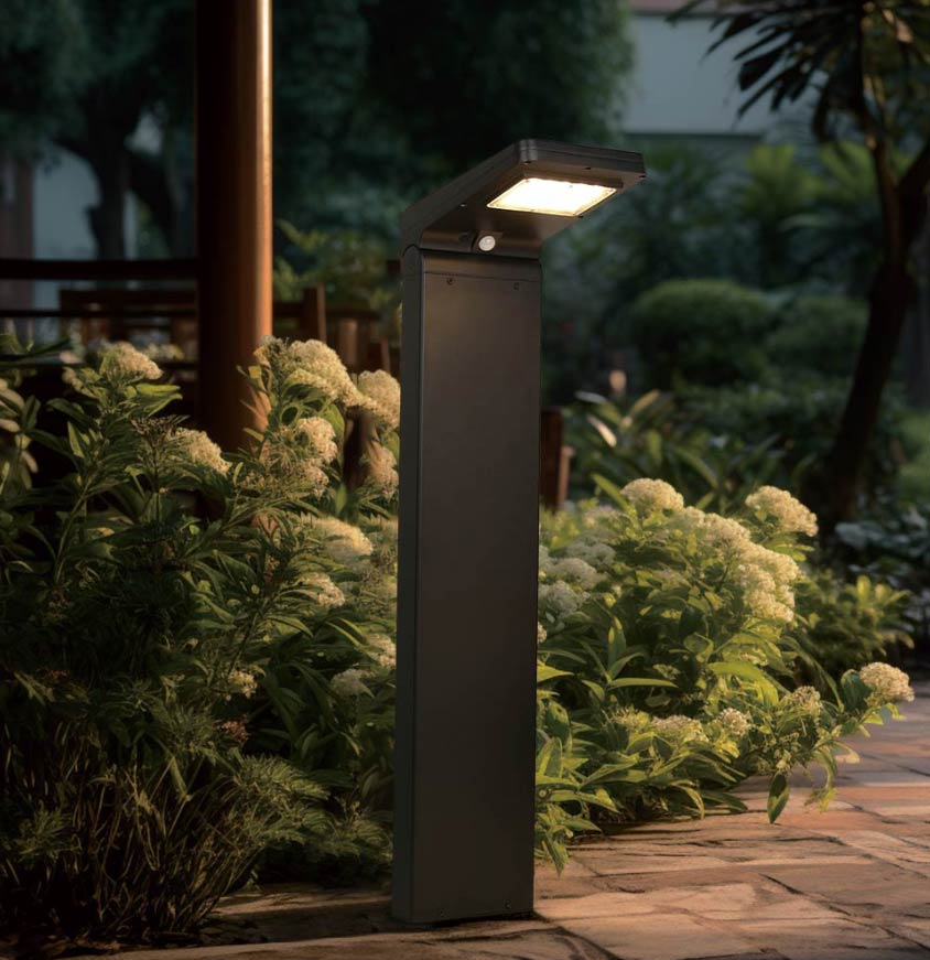 Eco-Friendly Solar Lights: Instant Savings, Grab Now.